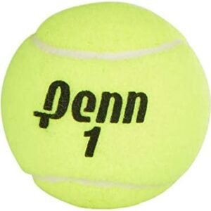 Penn Championship Tennis Balls - Regular Duty Felt Pressurized Tennis Balls