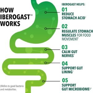 Iberogast Dual Action Digestive Relief, Daily Herbal Supplement, Supports Gut Health* Helps: Relieve Occasional Upset Stomach (bloating relief, nausea, heartburn, gas)+Restore Digestive Function* 50ml